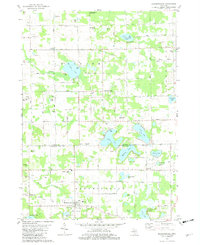 Bloomingdale 1981 topographic map thumbnail