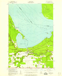 Brimley 1951 topographic map thumbnail