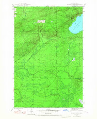 Bruneau Creek 1946 topographic map thumbnail