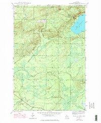 Bruneau Creek 1946 topographic map thumbnail