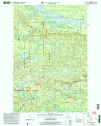 Bulldog Lake 1999 topographic map thumbnail