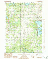 Chippewa Lake South 1985 topographic map thumbnail