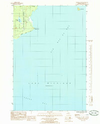 Chippewa Point 1985 topographic map thumbnail