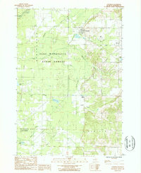 Copemish 1987 topographic map thumbnail