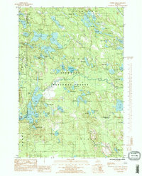 Corner Lake 1985 topographic map thumbnail