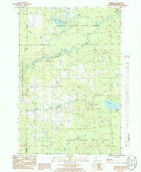 Covington 1985 topographic map thumbnail
