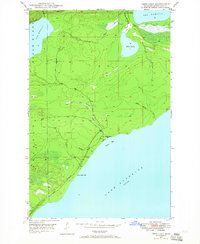 Deer Lake 1948 topographic map thumbnail