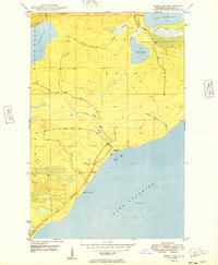 Deer Lake 1949 topographic map thumbnail