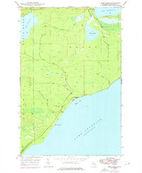 Deer Lake 1948 topographic map thumbnail