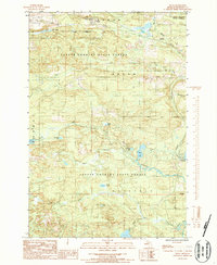 Felch 1986 topographic map thumbnail