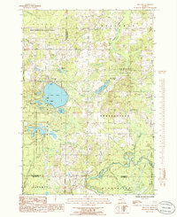 Fife Lake 1985 topographic map thumbnail