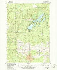 Floyd Lake 1989 topographic map thumbnail