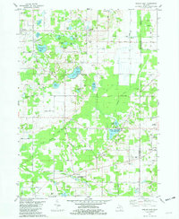Gobles East 1981 topographic map thumbnail