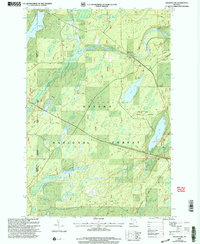 Golden Lake 1999 topographic map thumbnail