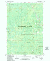 Helena 1989 topographic map thumbnail