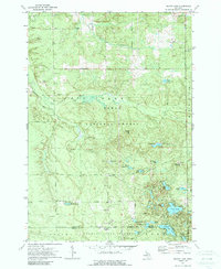 Island Lake 1972 topographic map thumbnail