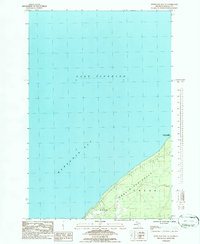 Keweenaw Bay NE 1984 topographic map thumbnail