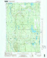 Lake Stella 1985 topographic map thumbnail