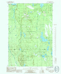 Lake Stella 1985 topographic map thumbnail
