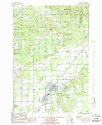 Mancelona 1985 topographic map thumbnail