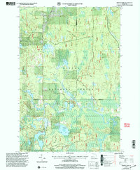 Marten Lake 1999 topographic map thumbnail