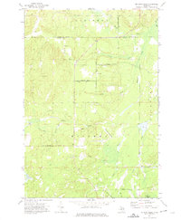 McGinn Creek 1972 topographic map thumbnail