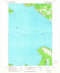 McGulpin Point 1964 topographic map thumbnail