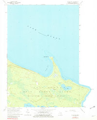 McRae Bay 1964 topographic map thumbnail
