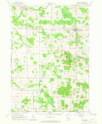 Mecosta 1964 topographic map thumbnail