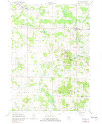 Mecosta 1979 topographic map thumbnail