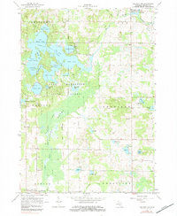 Mecosta 1964 topographic map thumbnail