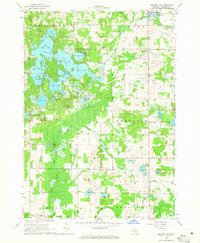 Mecosta NW 1964 topographic map thumbnail