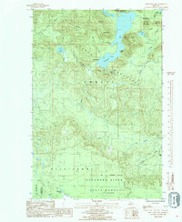 Mountain Lake 1985 topographic map thumbnail
