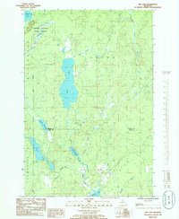 Ned Lake 1985 topographic map thumbnail