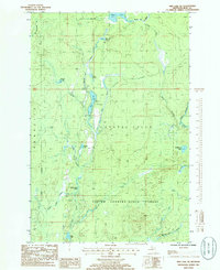 Ned Lake SE 1985 topographic map thumbnail