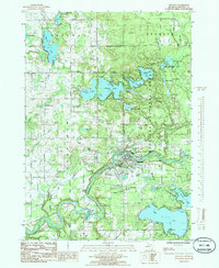 Newaygo 1985 topographic map preview
