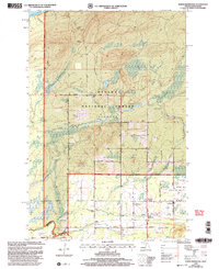 North Ironwood 1999 topographic map thumbnail