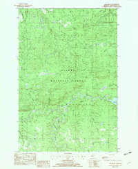 Oak Bluff 1982 topographic map thumbnail