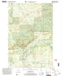 Oak Bluff 1999 topographic map thumbnail