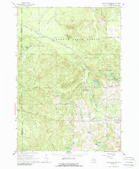 Ogemaw Springs 1965 topographic map thumbnail