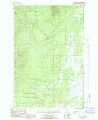 Pine Lake 1984 topographic map thumbnail