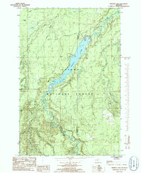 Prickett Lake 1985 topographic map thumbnail