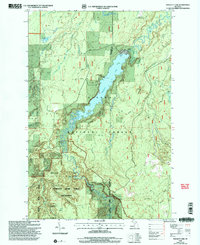 Prickett Lake 1999 topographic map thumbnail