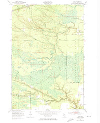 Raco 1951 topographic map thumbnail