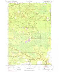 Raco 1951 topographic map thumbnail