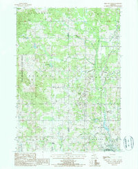 Reed City North 1987 topographic map thumbnail