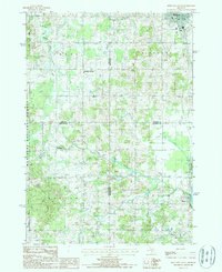 Reed City South 1987 topographic map thumbnail