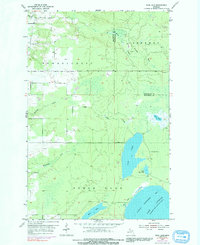 Rice Lake 1954 topographic map thumbnail