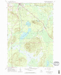 Roscommon South 1963 topographic map thumbnail