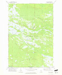 Roy Lake 1973 topographic map thumbnail